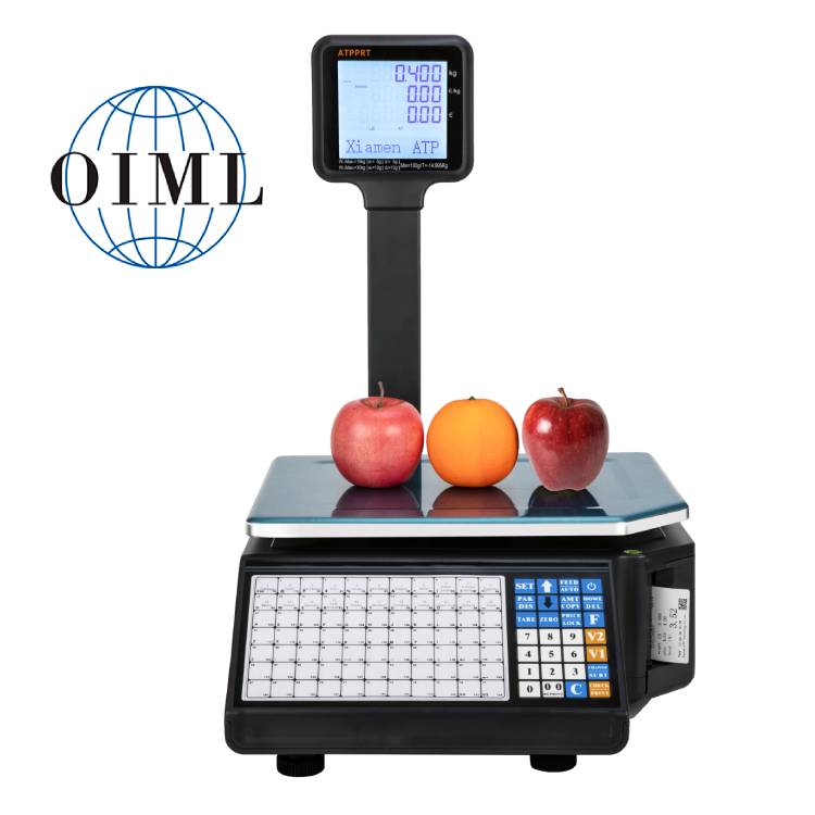 Цифровые весы с принтером. Вес – обзор и цена Weighing Scale Label Printer
